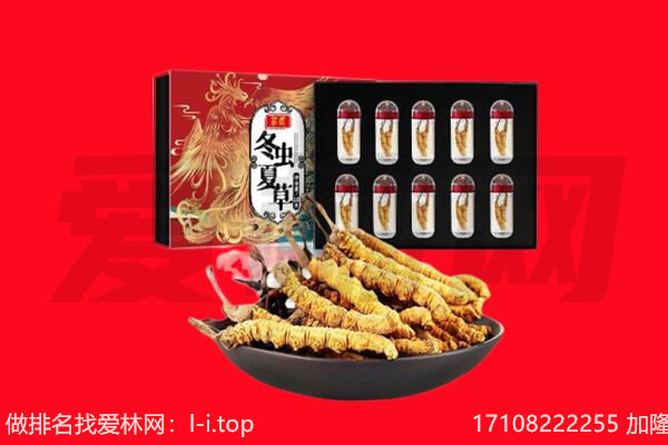 拉萨回收虫草.jpg